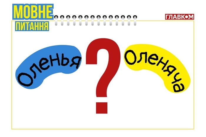 Reh oder Rentier? Linguistin erklärt, wie man die seltsamen Namen der bombardierten russischen Luftwaffenstützpunkte schreibt
