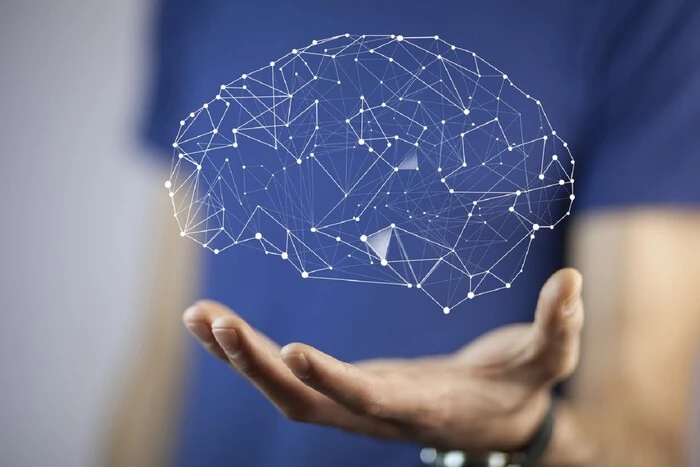 In Ukraine, the trend of visiting psychologists is on the rise. An expert has warned Ukrainians about a troubling tendency
