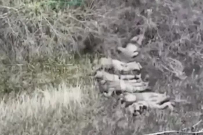 CNN published interception of the order from Russians to kill Ukrainian prisoners of war (video)