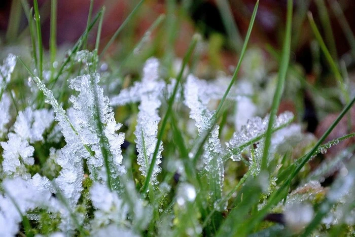 Do Ukrainy wracają przymrozki: jaka będzie pogoda w pierwszych dniach maja